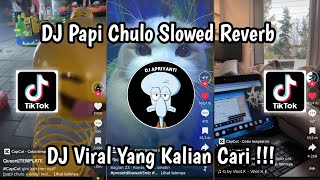 DJ PAPI CHULO SLOWED amp REVERB VIRAL TIKTOK 2024 [upl. by Kelwunn849]