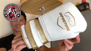 Infinitude Velocity Pro Boxing Gloves REVIEW GOOD TRAINING GLOVE FOR ALL YOUR GYM NEEDS [upl. by Larochelle127]