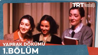 Yaprak Dökümü 1 Bölüm [upl. by Nabois]