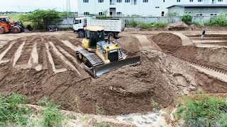 Perfectly Dongfeng Truck Sand Filling Up Bulldozer Pouring Sand Large Scale Land Filling UP [upl. by Bille895]