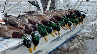 Hunting The Storm Amazing Mallard Hunt  Utah Water fowl hunting at its best Wasatch Front [upl. by Llednol]