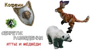 ArcheAge Разведение Ятт и Медведей подробно [upl. by Nosreffej]