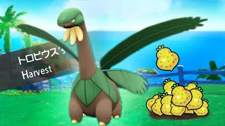 This Rank 1 Tropius Team Is So Hard To Break Through  Pokemon Scarlet amp Violet VGC Series 1 [upl. by Yliram]