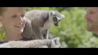 Soigneur dun Jour au Zoo de La Flèche [upl. by Yrocaj]