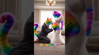 happy life of a rainbow cat family😻💞 pets cute cat [upl. by Phipps]