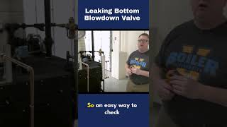 Leaky bottom blowdown valve Find out with this quick tip [upl. by Litch]