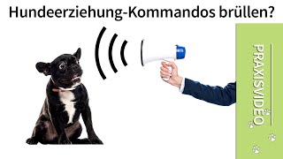 Hundeerziehung  Kommandos brüllen ➡️ Praxisvideo ✔️ [upl. by Thun681]