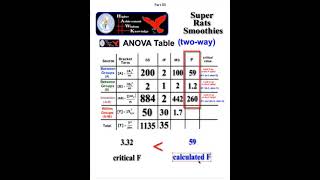 Two way ANOVA rat study BY HAND part 12 [upl. by Woodcock]