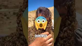 Bees Swarm On Face 😲🐝 shorts trendingshorts [upl. by Piers]