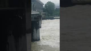 SHORTS TECHNOLOGY 20 44 Flooding of the Rhine near Basel Switzerland June 2st 2024 [upl. by Amory]