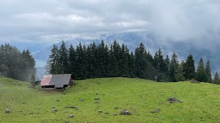 Niederhorn l Beatenburg l Beatenbucht l Switzerland [upl. by Olatha]