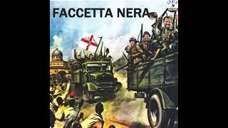 faccetta nera cover Matteo Salvini [upl. by Emearg]