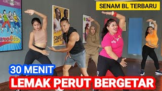 30 Menit Hilangkan Lemak Perut Dengan Cepat  Senam BL Paling Dahsyat [upl. by Jurkoic]