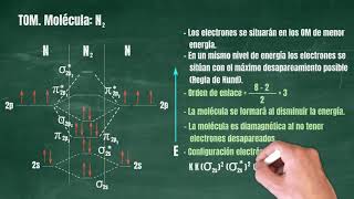 100 Teoría de Orbitales Moleculares Molécula N2 [upl. by Nirual]