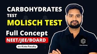 Test for Carbohydrates Molisch Test IIT JEE  NEET BOARDS chemgateway jee2024 [upl. by Aknaib]