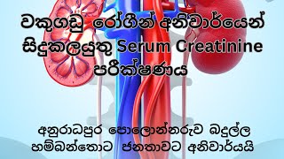 Creatinine Test sinhala  වකුගඩුු රෝග පරීක්ෂාව [upl. by Babette233]