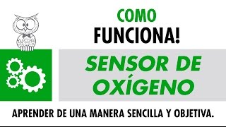 COMO FUNCIONA  Sensor de Oxígeno  Español [upl. by Natalie]