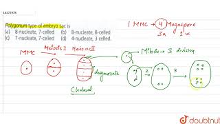 Polyhonum type of embryo sac is [upl. by Namad]