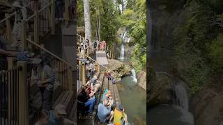 Hooray Fairy Falls Track is back 🧚 travel newzealand waterfall [upl. by Anura]