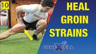 Groin Strain Adductor Magnus  One Day Fix Using this Unexpected Exercise  Ep10 [upl. by Haye507]