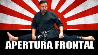 Desarrollando Elasticidad y Flexibilidad para las Artes Marciales Apertura Frontal karate [upl. by Sadirah]