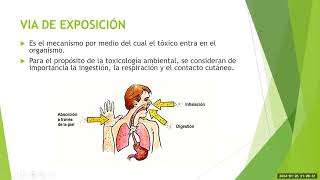 1 QUIMICA TOXICOLOGICA [upl. by Anyd673]