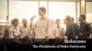 Bon Iver  Holocene Duke Pitchforks A cappella [upl. by Etterual]