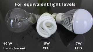 LED vs CFL vs Incandescent A19 Light Bulbs [upl. by Munshi335]