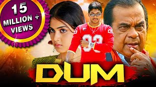 Dum HD  साउथ की ज़बरदस्त कॉमेडी फिल्म Allu Arjun Brahmanandam Genelia DSouza Manoj Bajpayee [upl. by Llenrup172]