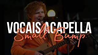 Small Bump  Ed Sheeran ACAPELLA [upl. by Yelraf]