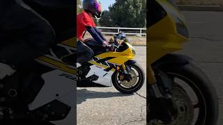 Yamaha r6 yamaha r6 exhaust sound [upl. by Teria426]