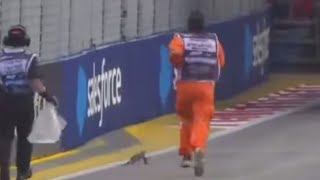 Singapore Grand Prix practice redflagged as marshals forced to chase lizard away [upl. by Nohtahoj]