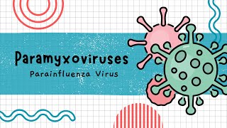 Parainfluenza Virus [upl. by Nairda]