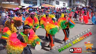 DANZA NEGRITOS EN LLALLAGUA POTOSI [upl. by Alrich]