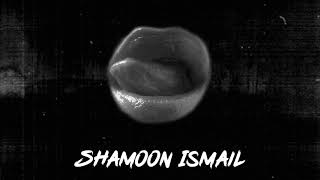 Shamoon Ismail  Rok Le Official Audio [upl. by Lanni]