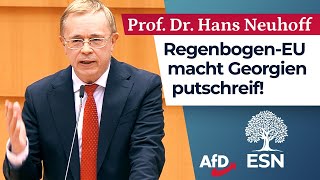 RegenbogenEU macht Georgien putschreif  Prof Dr Hans Neuhoff AfD [upl. by Aniras421]