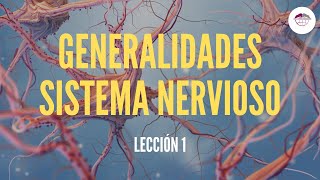 1 GENERALIDADES SISTEMA NERVIOSO FISIOLOGÍA DEL SISTEMA NERVIOSO [upl. by Tenaj983]