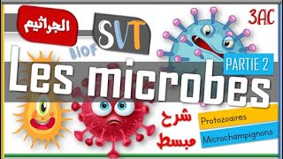 SVT❤ LES MICROBES PARTIE 2❤ MICROCHAMPIGNONS ET PROTOZOAIRES [upl. by Yesteb]