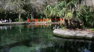 Wekiva Springs State Park 2017 [upl. by Swithbert]