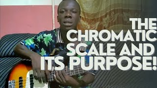 Chromaticism and its usefulness [upl. by Ardnohs67]