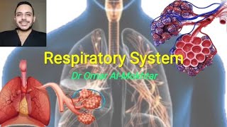 Introduction to Respiratory System MFM 42 [upl. by Nichol]