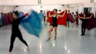 Coreografía Día de la Danza Telas [upl. by Deyas803]