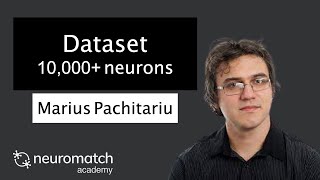 Projects Dataset Stringer 10000 neurons [upl. by Leina]