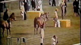 SECRETARIAT  1973 Preakness Stakes  Part 2 CBS [upl. by Earezed]