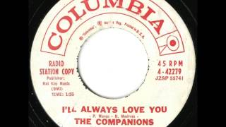 Companions  Ill Always Love You  Excellent Brooklyn Doo Wop Ballad [upl. by Rickie312]