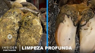 Limpeza Profissional de Cascos de Vacas  Limpeza Profunda  Insider Português [upl. by Welford]