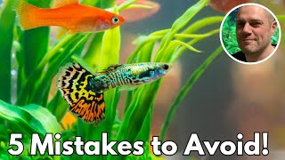 Guppy Keeping Fails Learn from These 5 Common Mistakes [upl. by Oremodlab]