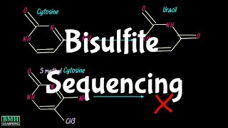 Bisulfite Sequencing  Whole Genome Bisulfite Sequencing  WGBS  BiSeq  DNA Methylation Detection [upl. by Iroj]