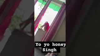 Ek dm aaye honey singh 😂😂rap music yoyohoneysinghnewsong hiphop song newsong [upl. by Raynell333]