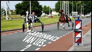 Paardenrace van Lies 2  Compilatie [upl. by Nageem]